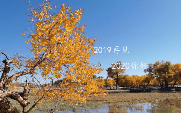 告别2019迎接2020的唯美说说早安语短句3篇_祝福2020的自己往后过