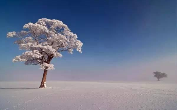 2019描写冬天雪景的唯美句子集锦