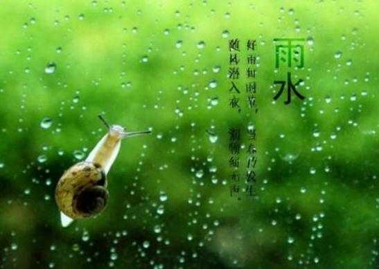 关于节气雨水的谚语_雨水节气的民间谚语