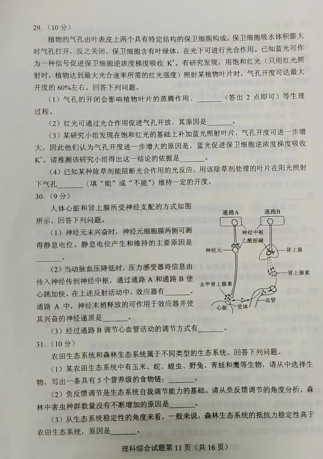 2023河南高考理综生物试卷